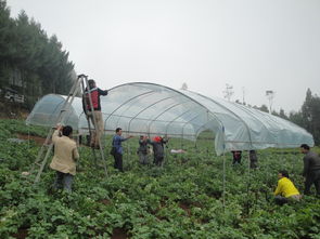 云南省農業廳官方網站——云南農業信息網 您的農業信息咨詢首選平臺