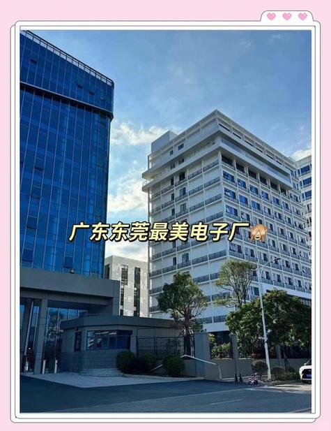 橫瀝網站推廣什么公司好